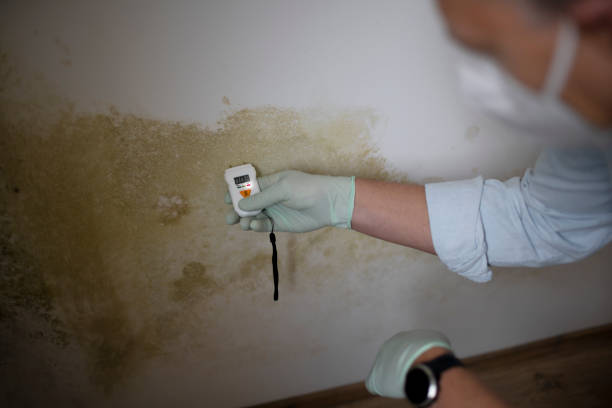 Best Crawl Space Mold Removal  in Bonnetsville, NC